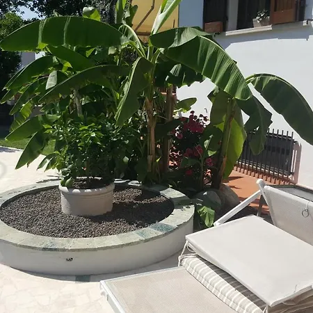 Bed & Breakfast Casa Gaia - *
