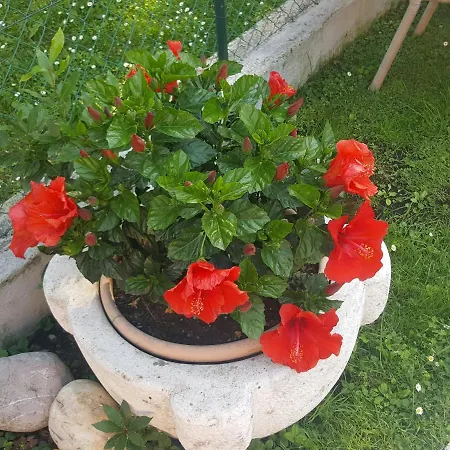 Casa Gaia - Bed & Breakfast Sirmione