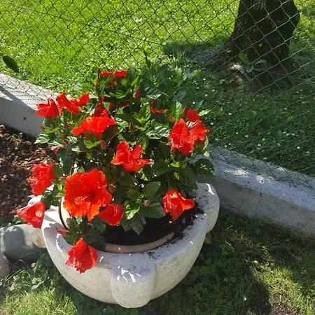 Casa Gaia - 3*